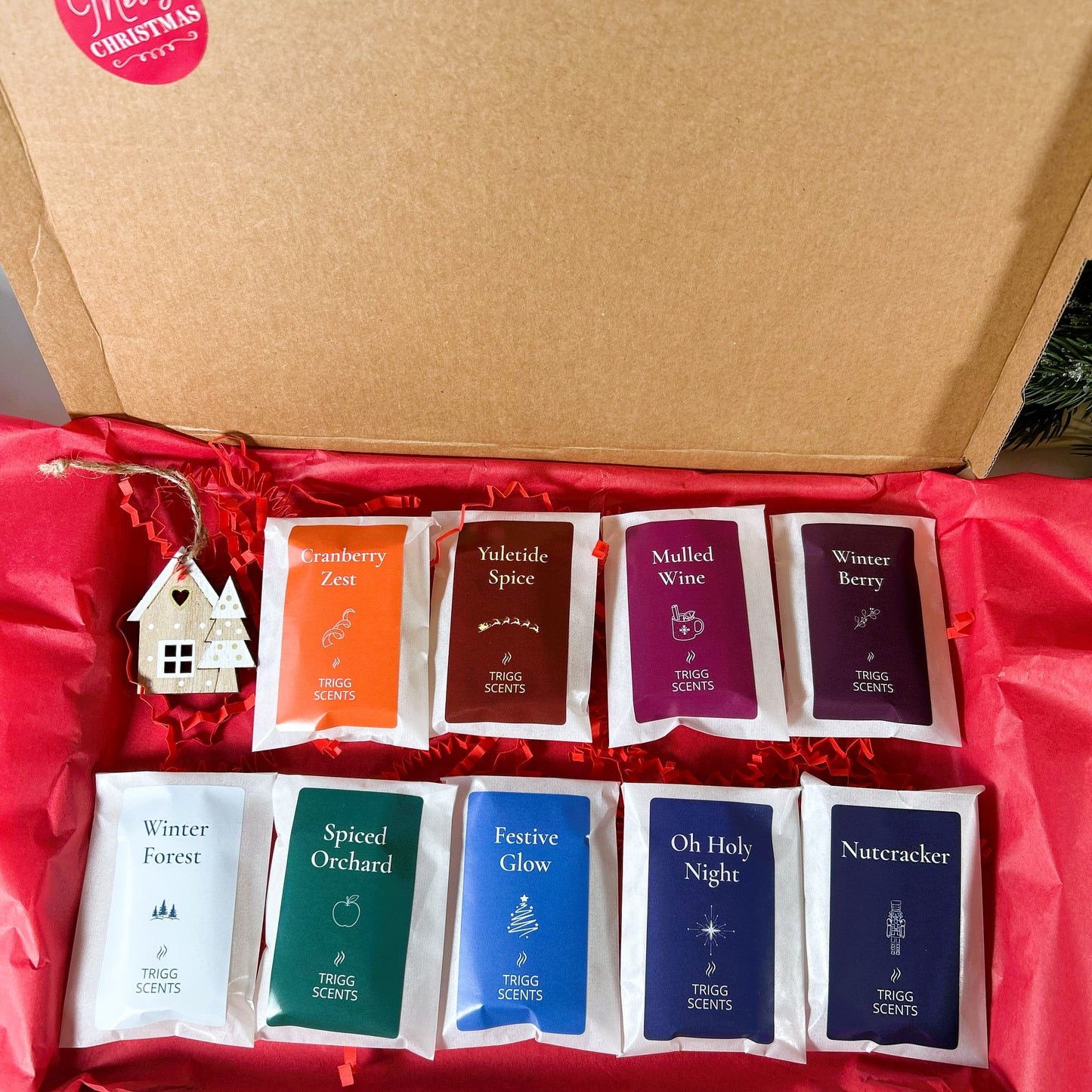Trigg Scents 9 Christmas Wax Melt Fragrance Selection Gift Set with Festive Fragrances Yuletide Spice, Winter Forest, Mulled Wine