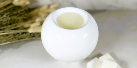 Wax melt burner with wax melt for home scenting