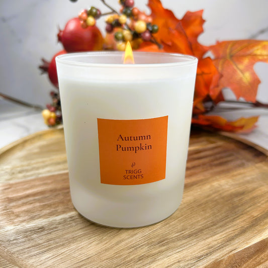 Autumn Pumpkin luxury candle in 30cl frosted glass jar, handmade in the UK by Trigg Scents