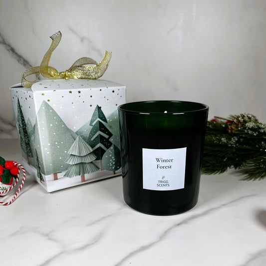 Winter Forest luxury candle by TRIGG SCENTS in green glass jar with festive Christmas gift box and pine decoration