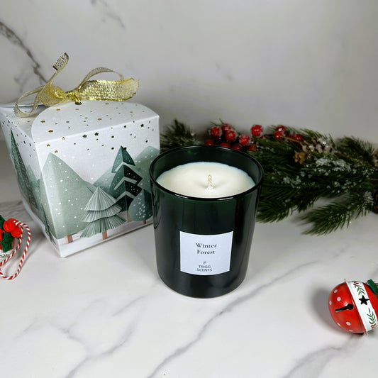 Winter Forest luxury candle by TRIGG SCENTS in green glass jar with festive Christmas gift box.